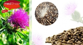 Neapstrādātas mārdadžu sēklas (500g vai 1kg)