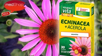 VITAR:  MaxiVita® Herbal Echinacea + Acerola для крепкого иммунитета