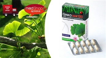 Ginko Max 120 для энергии, памяти и кроовообращения