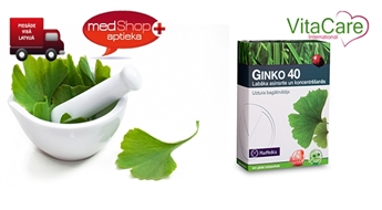 Ginko 40 для улучшения памяти и кровообращения