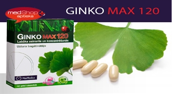 Ginko Max 120 для энергии