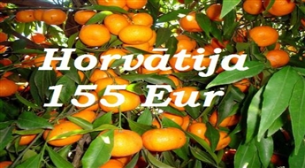 24.10.Horvātija - Mandarīnu Paradīze Tikai 155 Eur līdz Jūnijam!