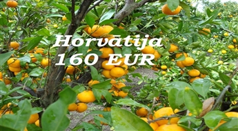 24.10.Horvātija - Mandarīnu Paradīze Tikai 160 Eur līdz 15.Jūnijam!