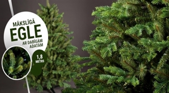 Ziemassvētki tuvojas! Skaistas mākslīgās eglītes tikai par 49.99 EUR!