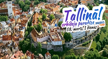 Tallina - orhideju paradīze!