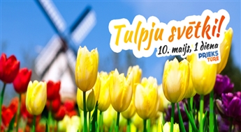 Tulpju svētki „ Mazajā Holandē” - Burbišķu muižā Lietuvā. Krusta kalns – Šauļi – Burbišķi – Šeduvas dzirnavas.
