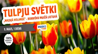 Tulpju svētki „ Mazajā Holandē” - Burbišķu muižā Lietuvā. Krusta kalns – Šauļi – Burbišķi .