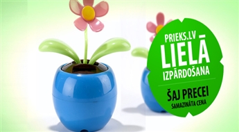 PIEGĀDE VISĀ LATVIJĀ! Dekoratīvs saules zieds "Flip Flap". Kustas gan no saules gaismas, gan mākslīgā apgaismojuma!