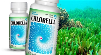 Chlorella BIO (400 шт.) - источник белка и необходимых для полноценного питания!