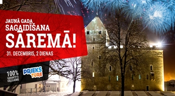 Встреча Нового Года на Сааремаа! 2 дня!