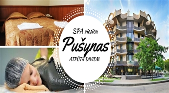 ДРУСКИНИНКАЙ: отдых ДЛЯ ДВОИХ в 3★ СПА гостинице «Pušynas» (1 ноч) с завтракам.