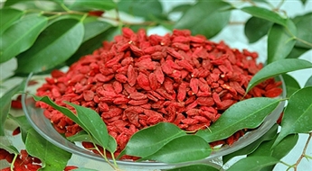Godži ogas  (1 kg, 500g, 200g) - antioksidantu, minerālvielu, vitamīnu, aminoskābju avots!