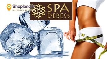 Spa Debess: Криолиполиз - инновационная безболезненная методика, по коррекции лишних жировых отложений под воздействием холода