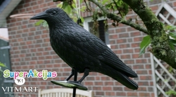 Putnu atbaidītājs "Krauklis"
