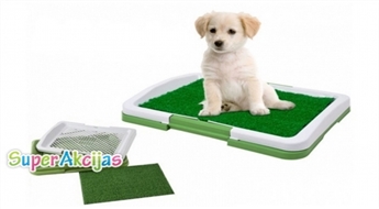 Kvalitatīva mājas tualete suņiem "Puppy Potty Pad"