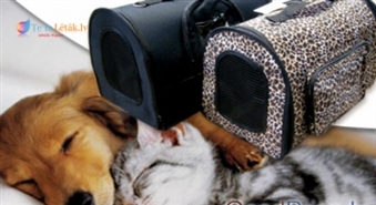 Ņem savu mīluli vienmēr līdzi, izmantojot ērtu PET CARE somu pārnēsāšanai. Tagad tikai par 10,99Ls.