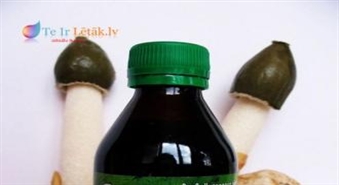 Dr. Kuzņecova ZEMESTAUKU SULA (200 ml) ar 30% atlaidi!