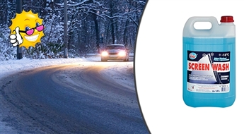 Seal Auto Vici SCREEN WASH зимнее средство для ветровых стекол  5  или  25 л