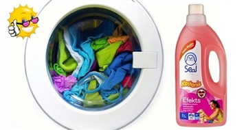 Seal Kastanis Efekts (1L)