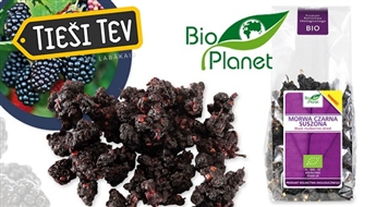 Сушеные черный шелковица BIO 100г