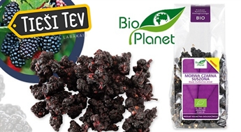 Сушеные черный шелковица BIO 100г