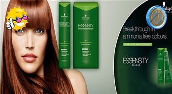 Matu griešana, šķipsnu krāsošana un ieveidošana salonā Venezia vai Eklektik ar 50% atlaidi!