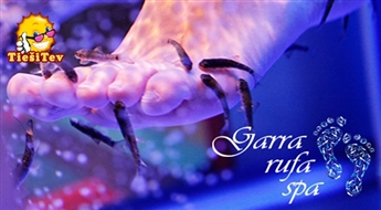 SPA–пилинг для ног с рыбками Гарра Руфа