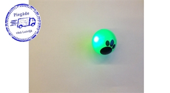 Multi-Lite rotaļu bumbiņa mājdzīvniekiem (mirgojoša) kaķiem un maziem suņiem