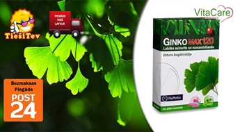 GinkoMax 120 atmiņai un asinsritei