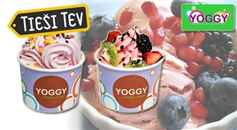 Мороженое Frozen Yoghurt (500 мл) в кафе YOGGY