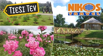 NIKOS travel:  праздник пионов в Калснаве, к руинам замка в Кокнесе и в Цесвайнский замок
