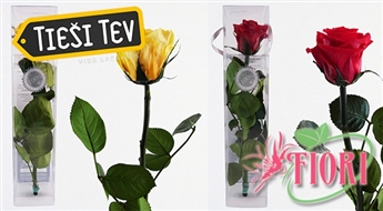 Fiori.lv: неувядающие розы - незабываемый подарок на выпускном!