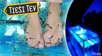 Relaksējošs Garra Rufa Spa zivtiņu pīlings kājām salonā Divinity, Rīgas centrā!