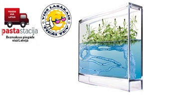 Inovatīvs un izglītojošs Antquarium Super Forest!