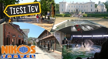 NIKOS travel: однодневная поездка в Дельфинарий, Парк динозавров и гору Крестов в октябре