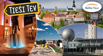 Baltia Tour: 2-дневная экскурсия в Таллин, Тарту и Раквере   (29.12-30.12.2014.)