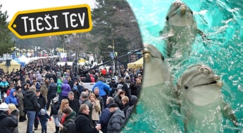 NIKOS travel: Klaipēdas delfinārijs + Krusta kalns +  atpūtas komplekss JUOZO ALUS