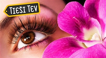 Salons Orhideja:  4 в 1 – завивка ресниц + корекция бровей + покраска бровей + косметическая процедура