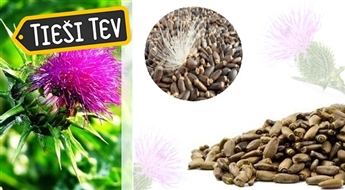 Neapstrādātas mārdadžu sēklas (500g vai 1kg)
