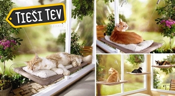 Pie loga piestiprināma kaķu gultiņa Sunny Seat