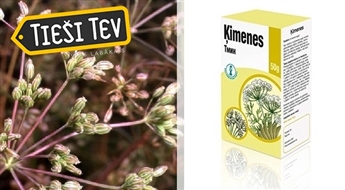 RFF:  Ķimenes augļu tēja
