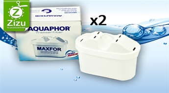 Universāli ūdenskrūzes filtri Aquaphor MAXFOR (2 gab.) tikai par Ls 5. Kvalitatīvam un garšīgam ūdenim!
