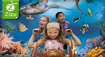 Лиго в Финляндии и Эстонии со скидкой -45%. Океанариум Sea Life, Аттракционы Linnanmaki и Кадриоргский дворец!