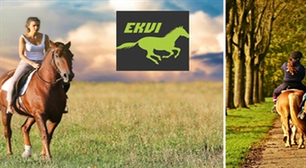 Часовая прогулка верхом по живописным полям и лесам под руководством опытного инструктора из конюшни «Ekvi» всего за 15 €!