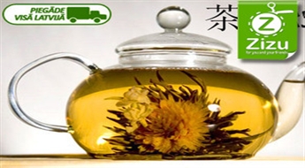 «Цветущий» чай высшего качества с Китая (5 или 10 шт.), начиная всего от 5,4 € (3,8 Ls). Доставка ПО ВСЕЙ ЛАТВИИ!