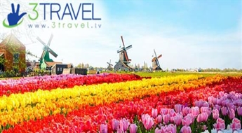 Avio ceļojums uz Holandi - Beļģiju - Keukenhofas ziedu parka un parādes apmeklējums 13.04.2019