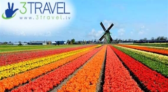 Avio ceļojums uz Vāciju - Beļģiju - Nīderlandi - Keukenhofas ziedu parks un parāde