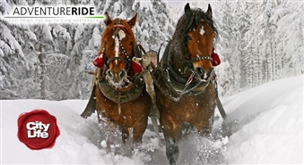 ADVENTURE RIDE piedzīvojums: izjāde ar zirgu, brauciens kamanās vai skijorings – 57%