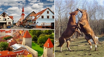 Pārsteidzošā Igaunija! Neaizmirstama ekskursija uz Pērnavu, Tallinu un Tori zirgaudzētavu ar 50% atlaidi!