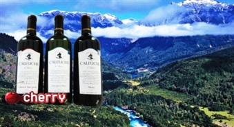 Eirovīns piedāvā: eksotiskais Čīles vīns Caleuche Classic -56%